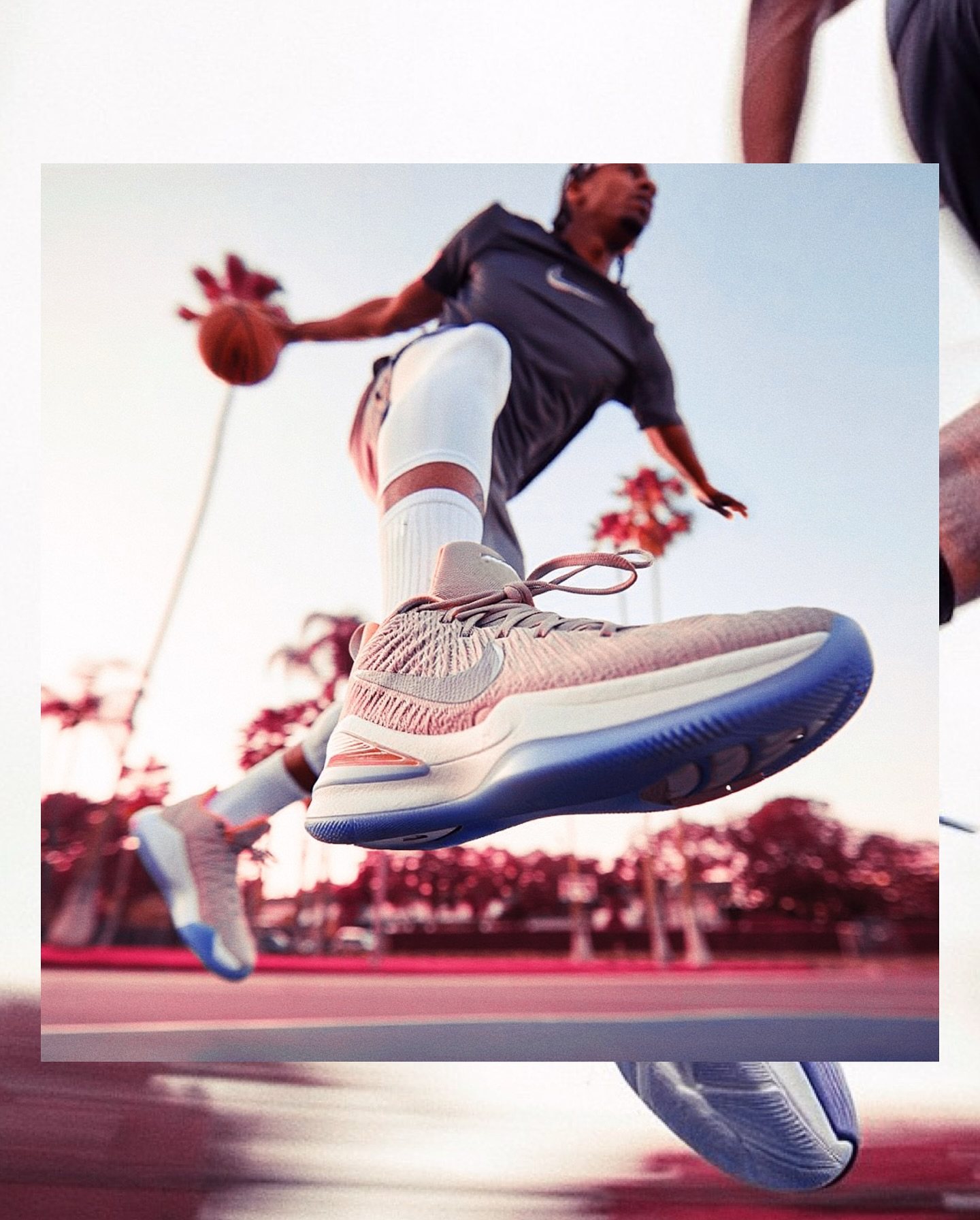 Sole in Flight