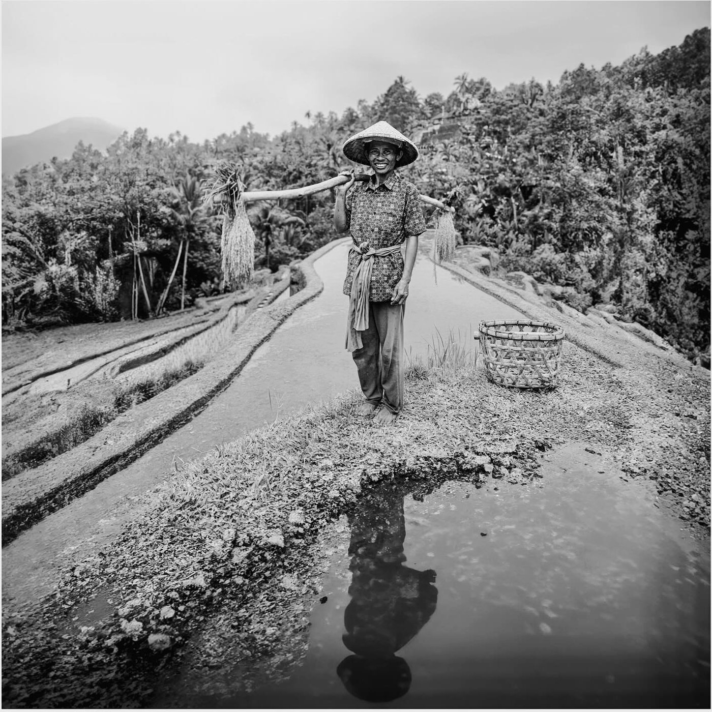 The Road After Rain